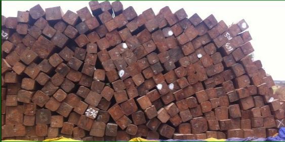 VẬN CHUYỂN GỖ VÀ THỦ TỤC XUẤT NHẬP KHẨU GỖ