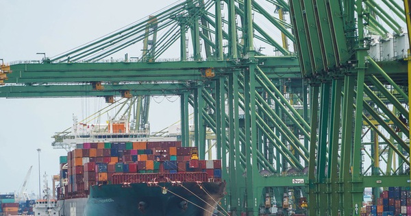 Đi ngược dòng suy giảm kinh tế trong đại dịch, ngành logistics Việt Nam vẫn tăng trưởng song 80% cuộc chơi lại rơi vào tay nước ngoài!